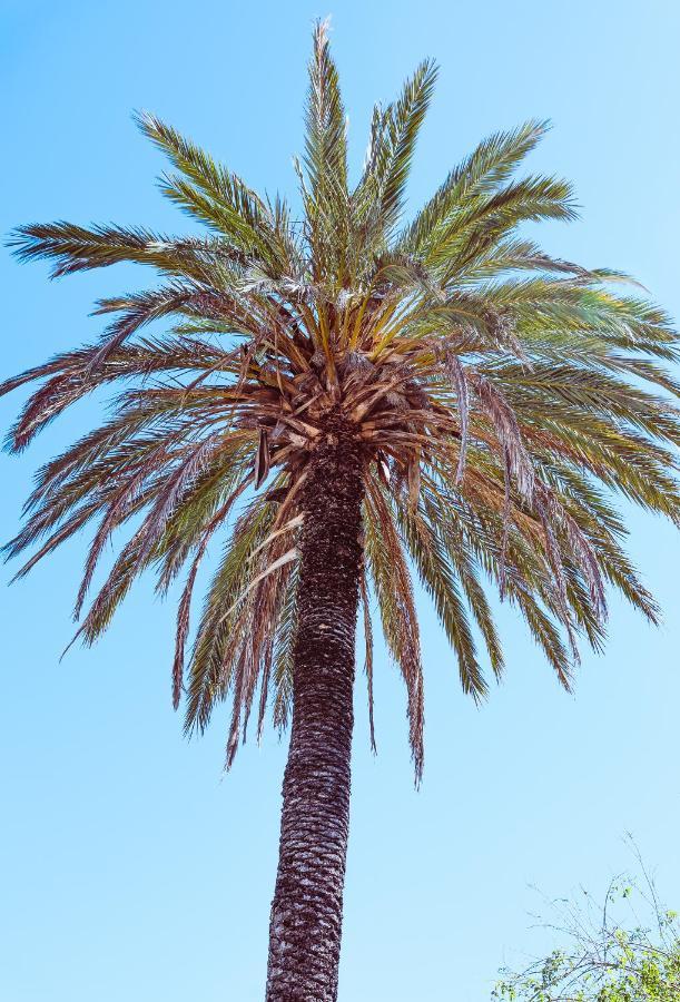 הוילה Jávea Casa Elizabeth מראה חיצוני תמונה